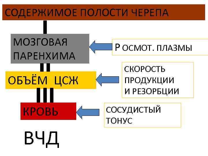 СОДЕРЖИМОЕ ПОЛОСТИ ЧЕРЕПА МОЗГОВАЯ ПАРЕНХИМА Р ОСМОТ. ПЛАЗМЫ ОБЪЁМ ЦСЖ СКОРОСТЬ ПРОДУКЦИИ И РЕЗОРБЦИИ