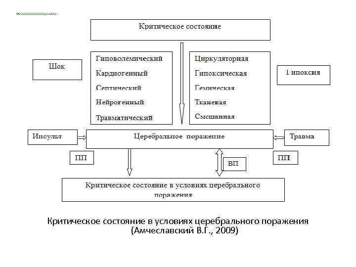 Критическое состояние в условиях церебрального поражения (Амчеславский В. Г. , 2009) 