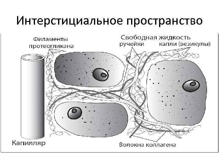 Интерстициальное пространство 