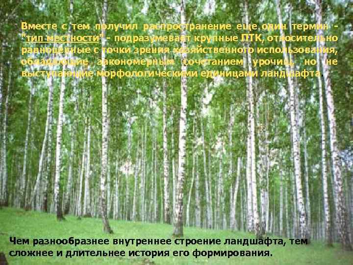 Вместе с тем получил распространение еще один термин 