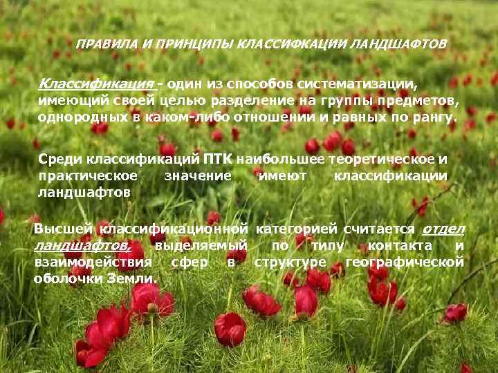 ПРАВИЛА И ПРИНЦИПЫ КЛАССИФКАЦИИ ЛАНДШАФТОВ Классификация один из способов систематизации, имеющий своей целью разделение