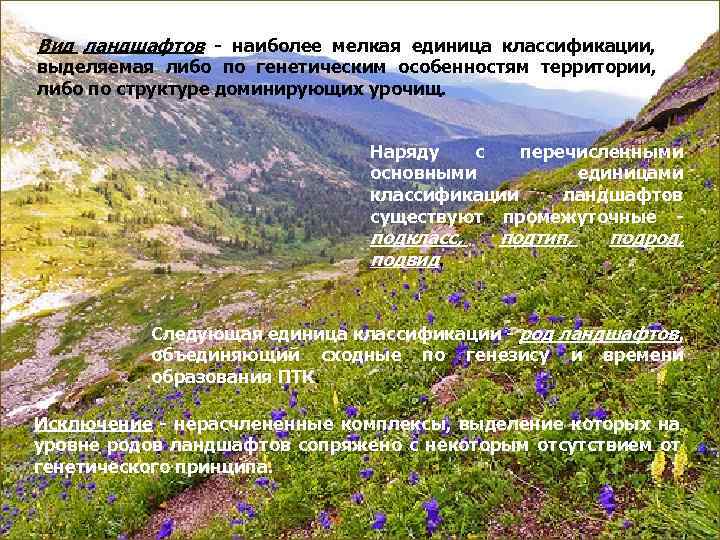 Вид ландшафтов наиболее мелкая единица классификации, выделяемая либо по генетическим особенностям территории, либо по