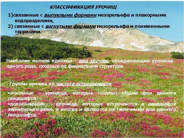 КЛАССИФИКАЦИЯ УРОЧИЩ 1)связанные с выпуклыми формами мезорельефа и плакорными водоразделами, 2) связанные с вогнутыми