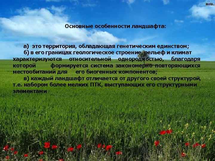 Основные особенности ландшафта: а) это территория, обладающая генетическим единством; б) в его границах геологическое