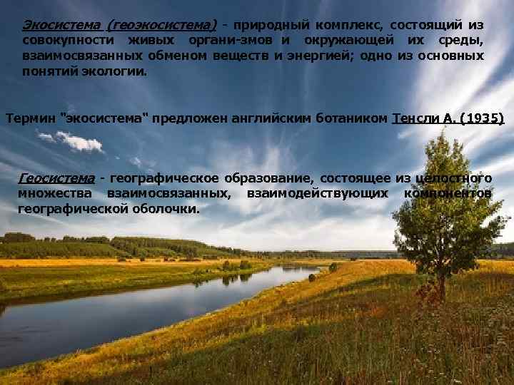 Экосистема (геоэкосистема) природный комплекс, состоящий из совокупности живых органи змов и окружающей их среды,