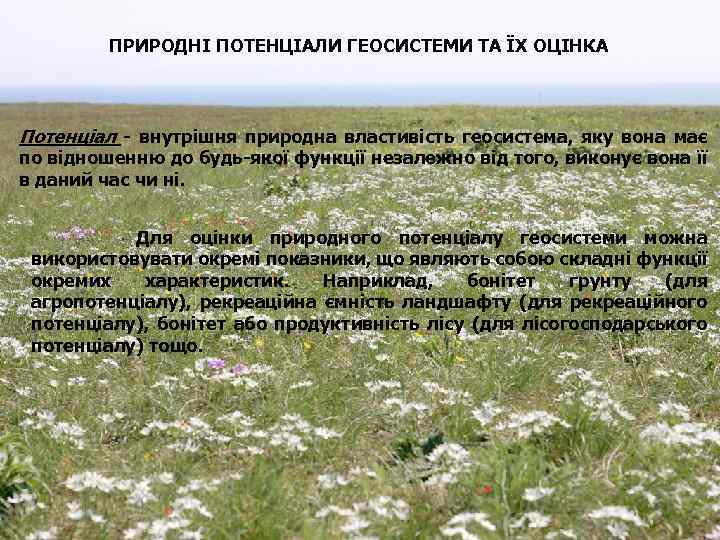 ПРИРОДНІ ПОТЕНЦІАЛИ ГЕОСИСТЕМИ ТА ЇХ ОЦІНКА Потенціал внутрішня природна властивість геосистема, яку вона має