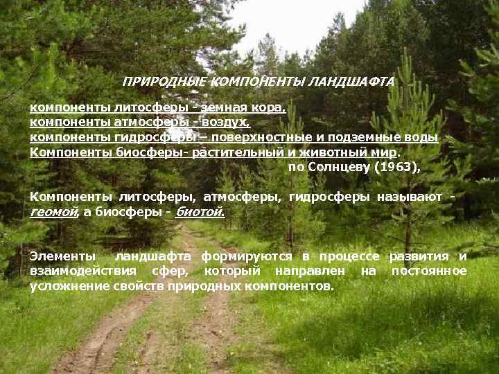 ПРИРОДНЫЕ КОМПОНЕНТЫ ЛАНДШАФТА компоненты литосферы земная кора, компоненты атмосферы воздух, компоненты гидросферы – поверхностные