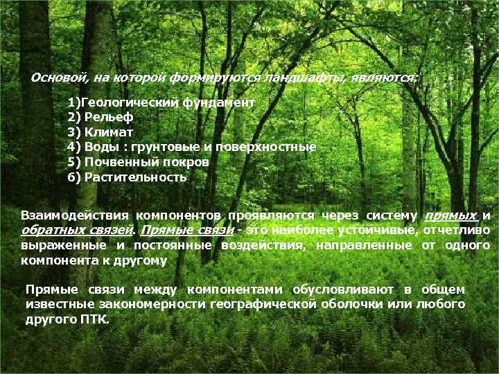 Основой, на которой формируются ландшафты, являются: 1)Геологический фундамент 2) Рельеф 3) Климат 4) Воды
