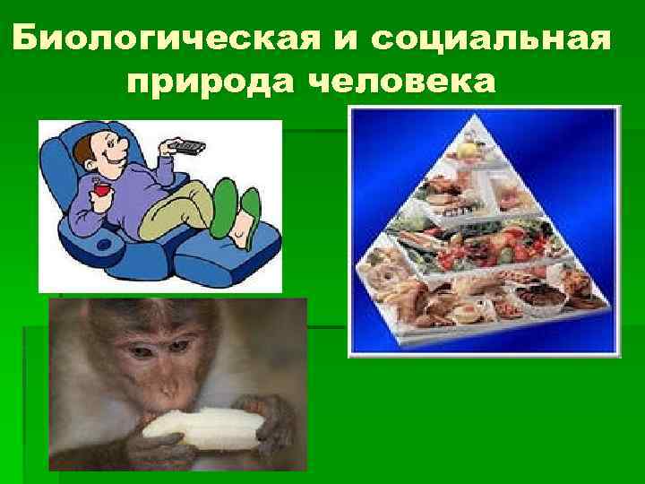 Биологическая и социальная природа человека 