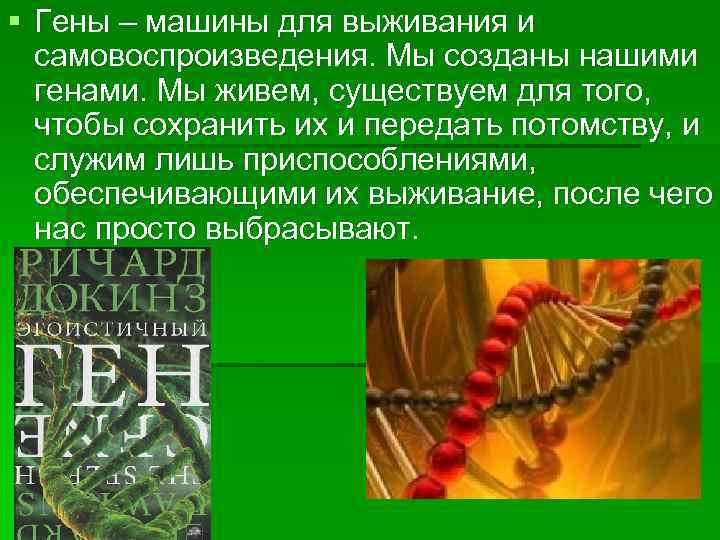 § Гены – машины для выживания и самовоспроизведения. Мы созданы нашими генами. Мы живем,