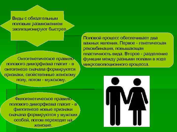 Виды с обязательным половым размножением эволюционируют быстрее. Онтогенетическое правило полового диморфизма гласит в онтогенезе