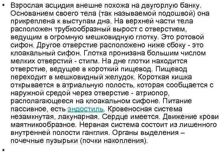  • Взрослая асцидия внешне похожа на двугорлую банку. Основанием своего тела (так называемой