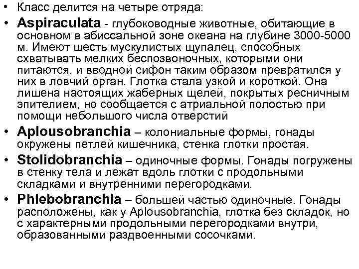  • Класс делится на четыре отряда: • Аspiraculata - глубоководные животные, обитающие в