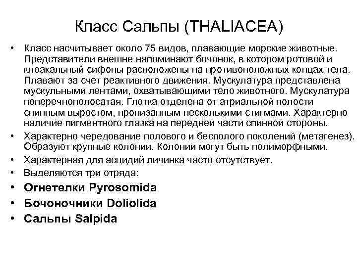 Класс Сальпы (THALIACEA) • Класс насчитывает около 75 видов, плавающие морские животные. Представители внешне