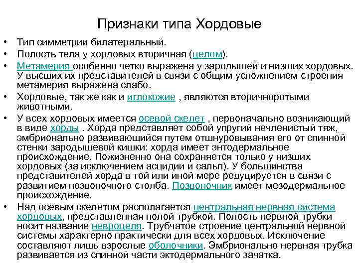 Признаки типа Хордовые • Тип симметрии билатеральный. • Полость тела у хордовых вторичная (целом).