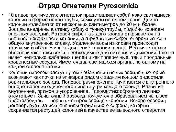 Отряд Огнетелки Pyrosomida • 10 видов тропических огнетелок представляют собой ярко светящиеся колонии в