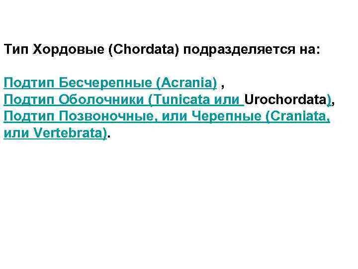 Тип Хордовые (Chordata) подразделяется на: Подтип Бесчерепные (Acrania) , Подтип Оболочники (Tunicata или Urochordata),