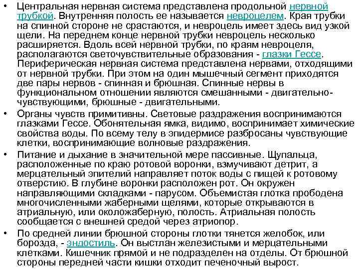  • Центральная нервная система представлена продольной нервной трубкой. Внутренняя полость ее называется невроцелем.