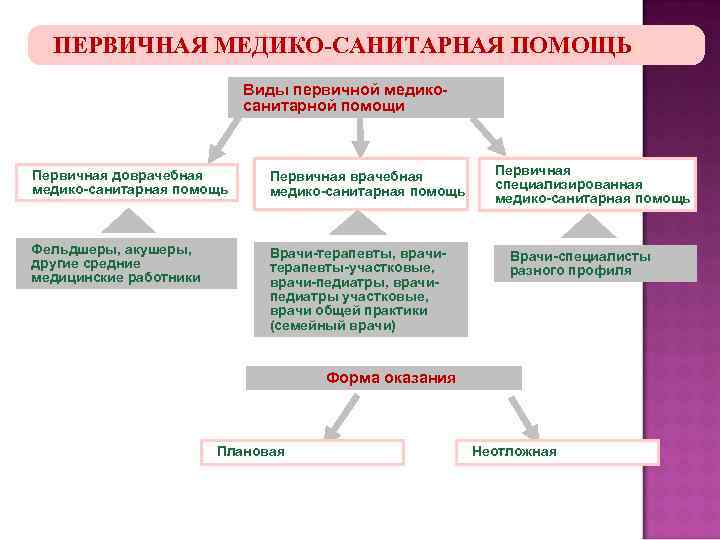 ПЕРВИЧНАЯ МЕДИКО-САНИТАРНАЯ ПОМОЩЬ Виды первичной медикосанитарной помощи Первичная доврачебная медико-санитарная помощь Первичная врачебная медико-санитарная