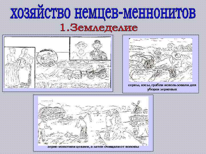 серпы, косы, грабли использовали для уборки зерновых зерно молотили цепами, а затем очищали от