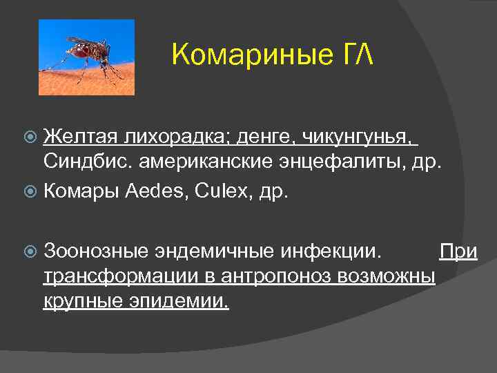 Комариные ГЛ Желтая лихорадка; денге, чикунгунья, Синдбис. американские энцефалиты, др. Комары Aedes, Culex, др.