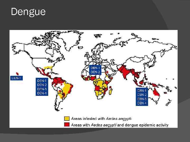 Dengue 