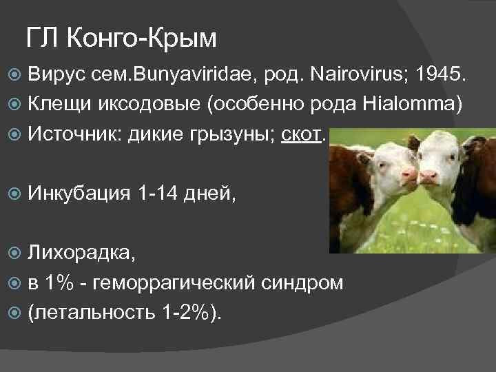 ГЛ Конго-Крым Вирус сем. Bunyaviridae, род. Nairovirus; 1945. Клещи иксодовые (особенно рода Hialomma) Источник: