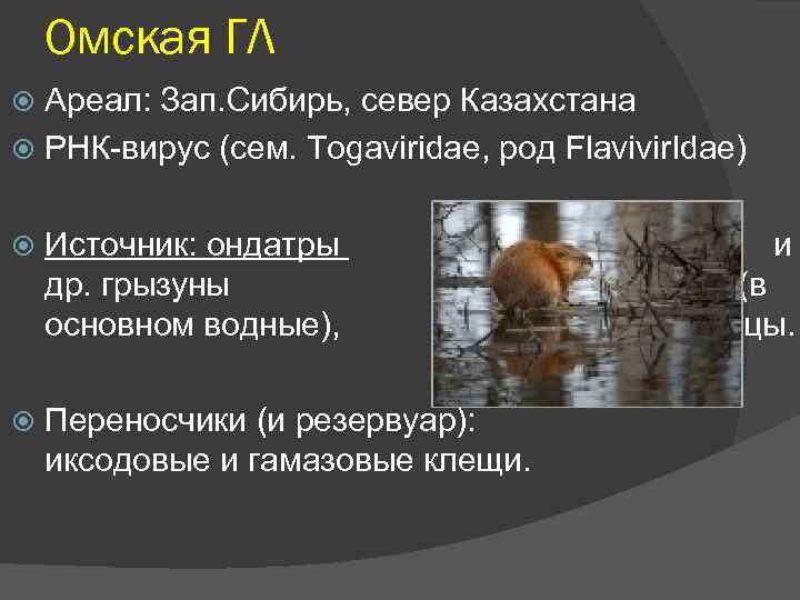 Омская ГЛ Ареал: Зап. Сибирь, север Казахстана РНК-вирус (сем. Togaviridae, род Flavivir. Idae) Источник: