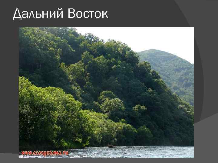 Дальний Восток 