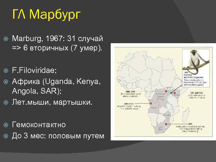 ГЛ Mарбург Marburg, 1967: 31 случай => 6 вторичных (7 умер). F. Filoviridae; Африка