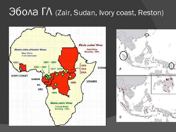 Эбола ГЛ (Zair, Sudan, Ivory coast, Reston) 