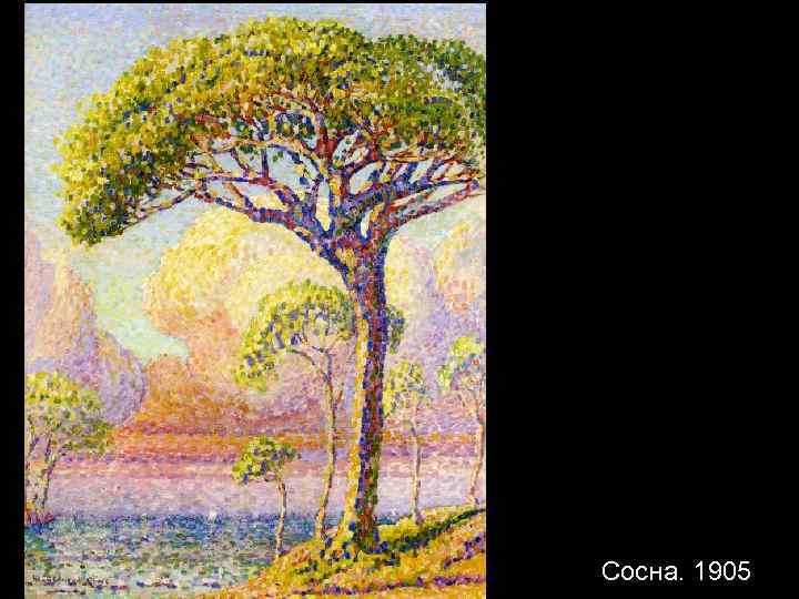 Сосна. 1905 