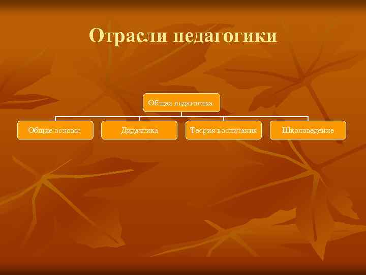 Отрасли педагогики Общая педагогика Общие основы Дидактика Теория воспитания Школоведение 