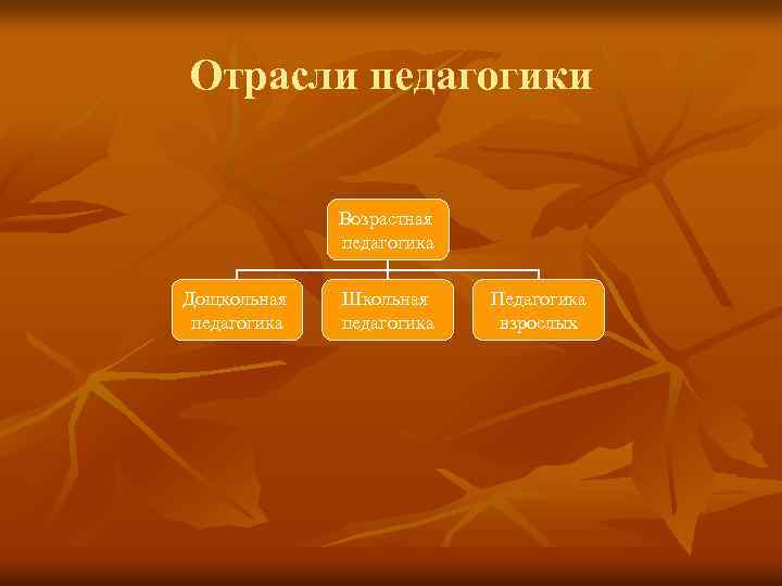 Отрасли педагогики Возрастная педагогика Дощкольная педагогика Школьная педагогика Педагогика взрослых 