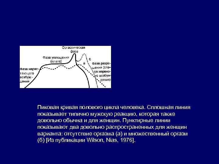 Пиковая кривая полового цикла человека. Сплошная линия показывает типично мужскую реакцию, которая также довольно