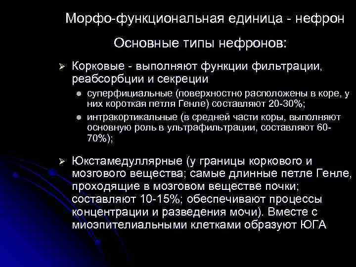 Морфо-функциональная единица - нефрон Основные типы нефронов: Ø Корковые - выполняют функции фильтрации, реабсорбции