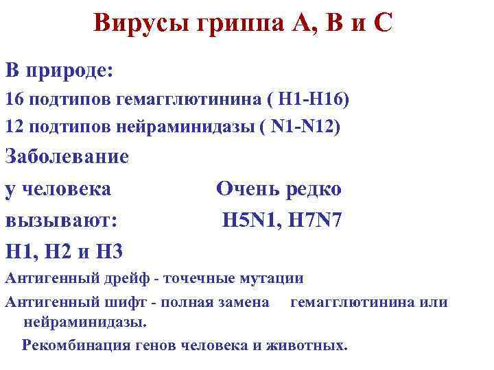Вирусы гриппа А, В и С В природе: 16 подтипов гемагглютинина ( H 1