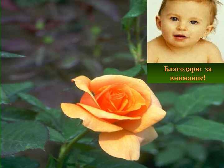 Благодарю за внимание! 