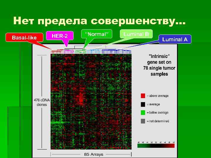 Нет предела совершенству… Basal-like HER-2 “Normal” Luminal B Luminal A 