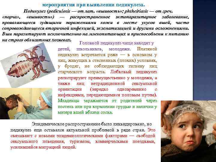  мероприятия при выявлении педикулеза. Педикулез (рediculosis — от лат. «вшивость» ; рhtheiriasis —