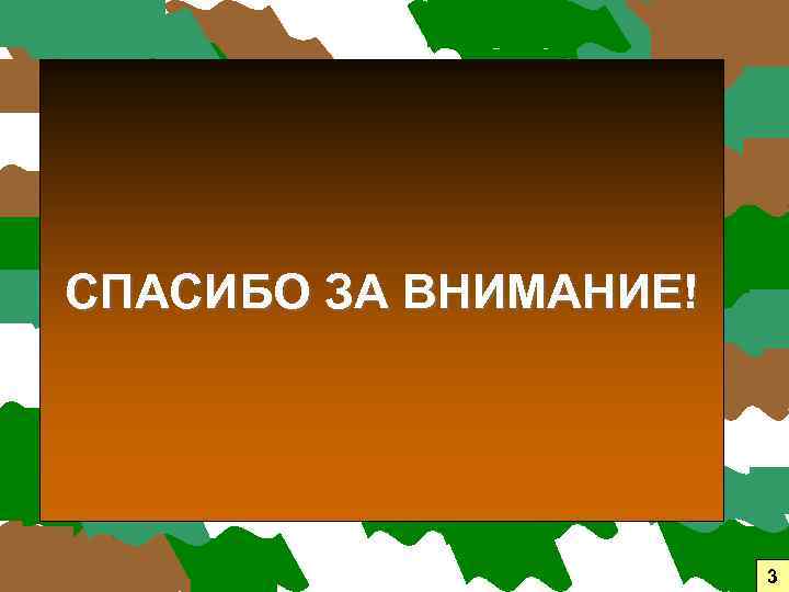 СПАСИБО ЗА ВНИМАНИЕ! 3 
