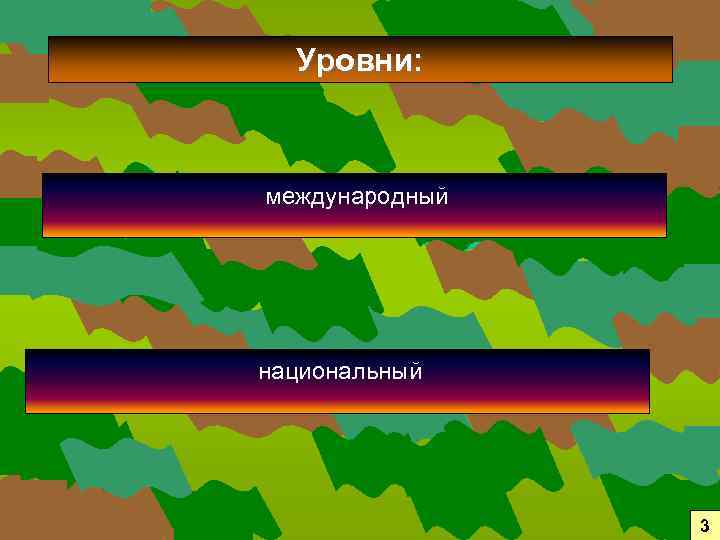 Уровни: международный национальный 3 