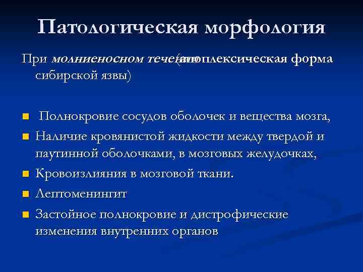 Патологическая морфология При молниеносном течении (апоплексическая форма сибирской язвы) n n n Полнокровие сосудов