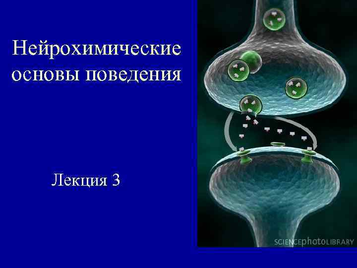 Нейрохимические основы поведения Лекция 3 