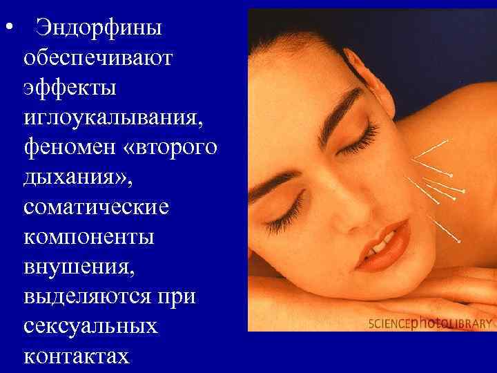  • Эндорфины обеспечивают эффекты иглоукалывания, феномен «второго дыхания» , соматические компоненты внушения, выделяются