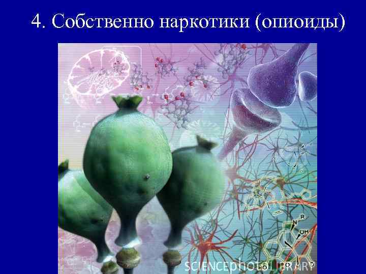 4. Собственно наркотики (опиоиды) 