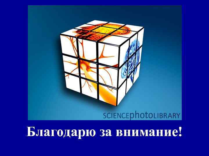 Благодарю за внимание! 