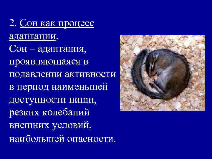2. Сон как процесс адаптации. Сон – адаптация, проявляющаяся в подавлении активности в период
