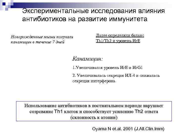 Экспериментальные исследования влияния антибиотиков на развитие иммунитета Новорожденные мыши получали канамицин в течение 7