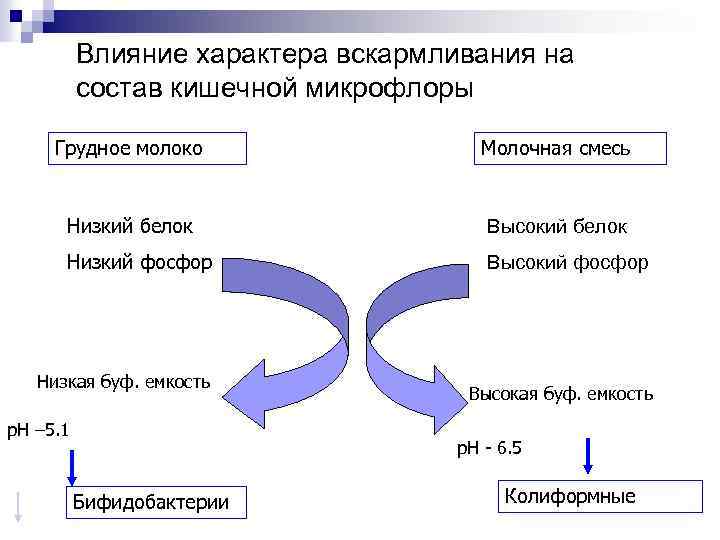 Влияние характера вскармливания на состав кишечной микрофлоры Грудное молоко Молочная смесь Низкий белок Высокий